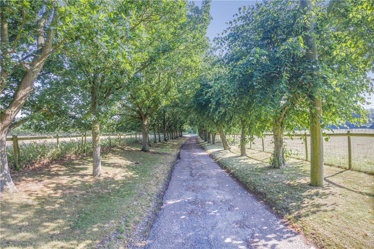   Land, Cookley, Halesworth, IP19 - Available, Image 14