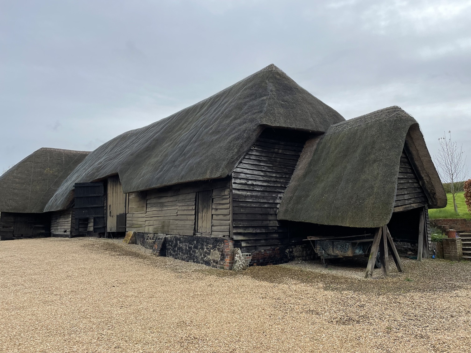 Traditional wooden barns with thick thatched roofs on a gravel courtyard under an overcast sky.
