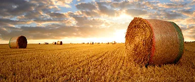 farm-management-hay-bale