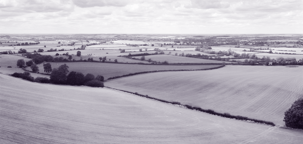 Open field and rolling hills