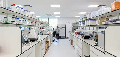 Programme management