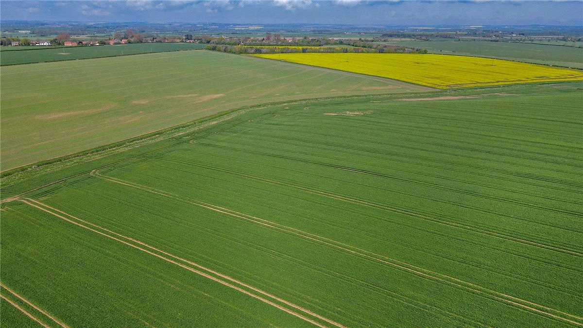   Land, Lot 2 - Land At Beeford and Foston, Driffield, YO25 - Sold STC, Image 6