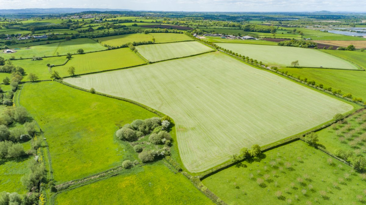 64.64  Land, Lot 1: Land At Abbots Sharpham, Glastonbury, BA16 - Sold