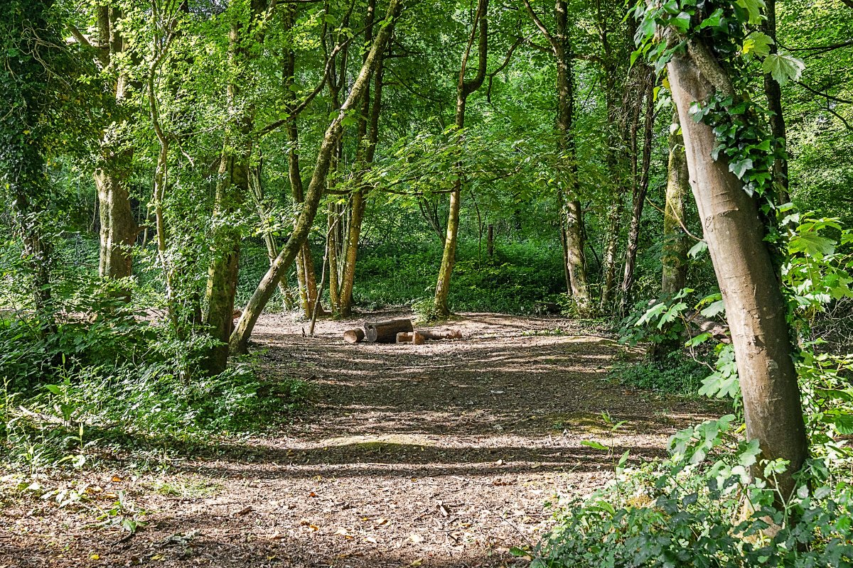 5.29  Land, Farleigh Rise, Monkton Farleigh, BA15 - Sold, Image 4