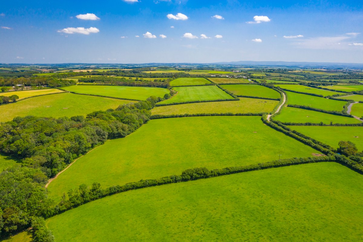 77.38  Land, Maxworthy, Launceston, PL15 - Sold