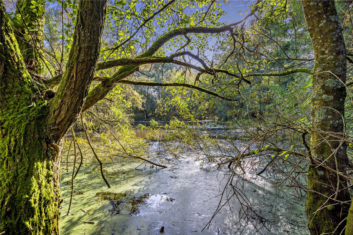 1.39  Land, Lower Way, Thatcham, RG19 - Sold, Image 12