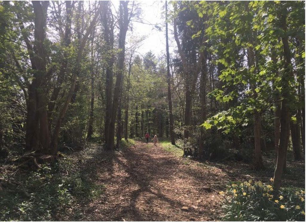 317 to 437 Sq Ft, The Rocks, Colerne, SN14 - Available, Image 7