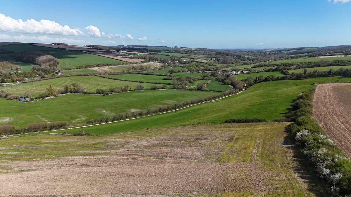 86.11  Land, Lot 2: Land At Cruxton Manor Farm, Cruxton, DT2 - Available, Image 6