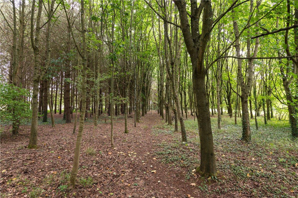 5 bedroom House, Kington St. Michael, Chippenham, SN14 - Sold, Image 3