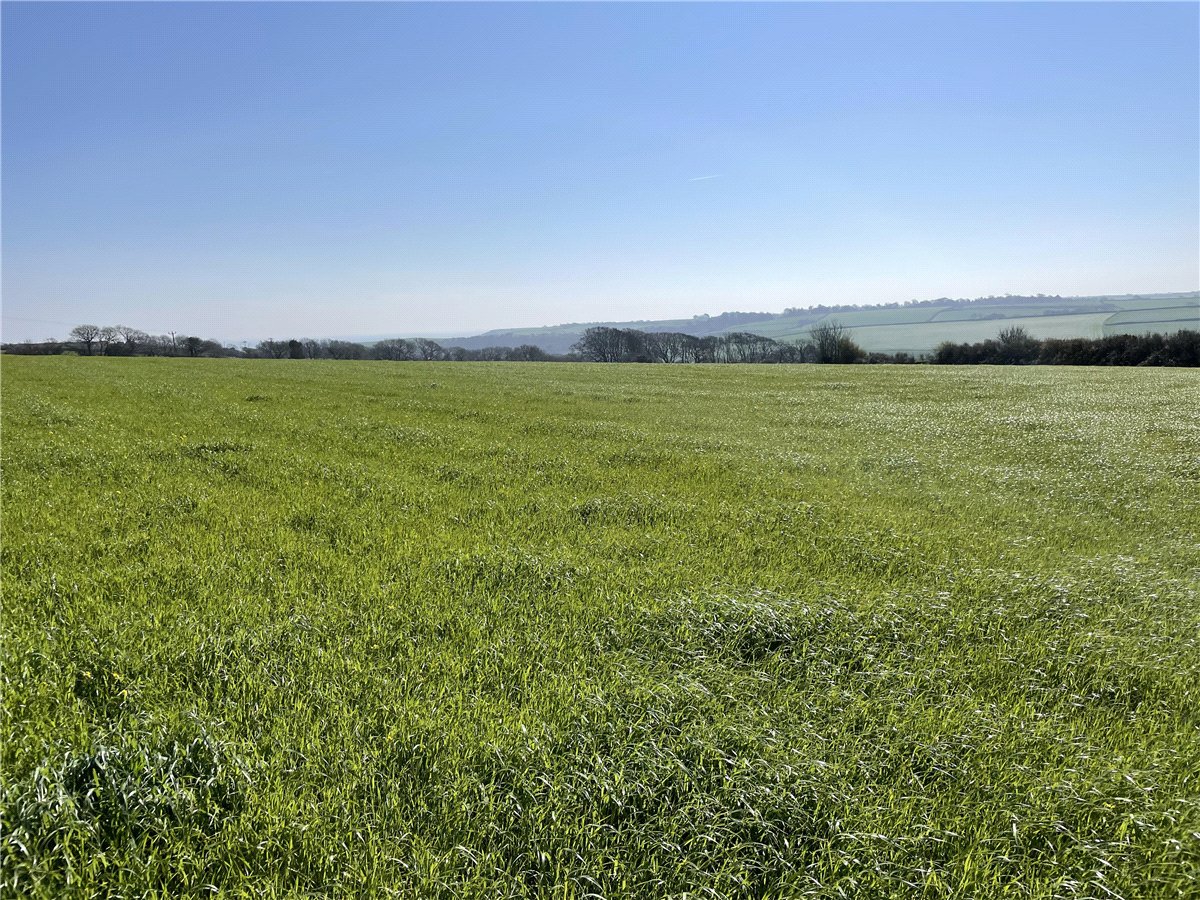 54.26  Land, London Apprentice, St. Austell, PL26 - Available, Image 6