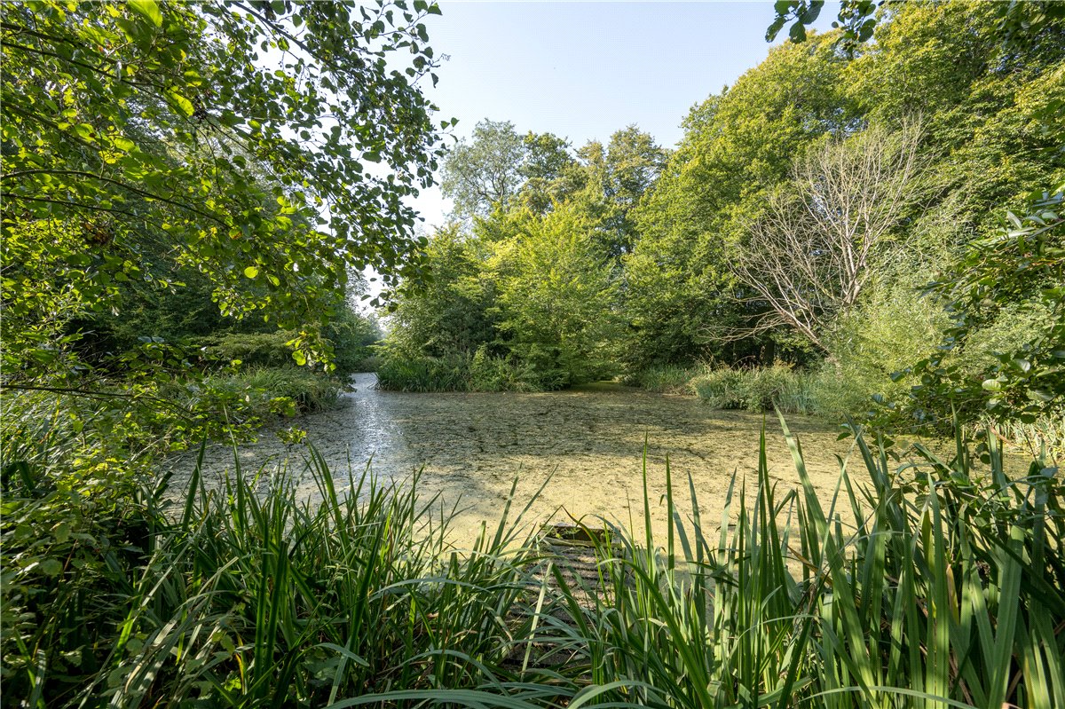 6 bedroom House, Near Bishop Monkton, North Yorkshire, HG4 - Sold, Image 5