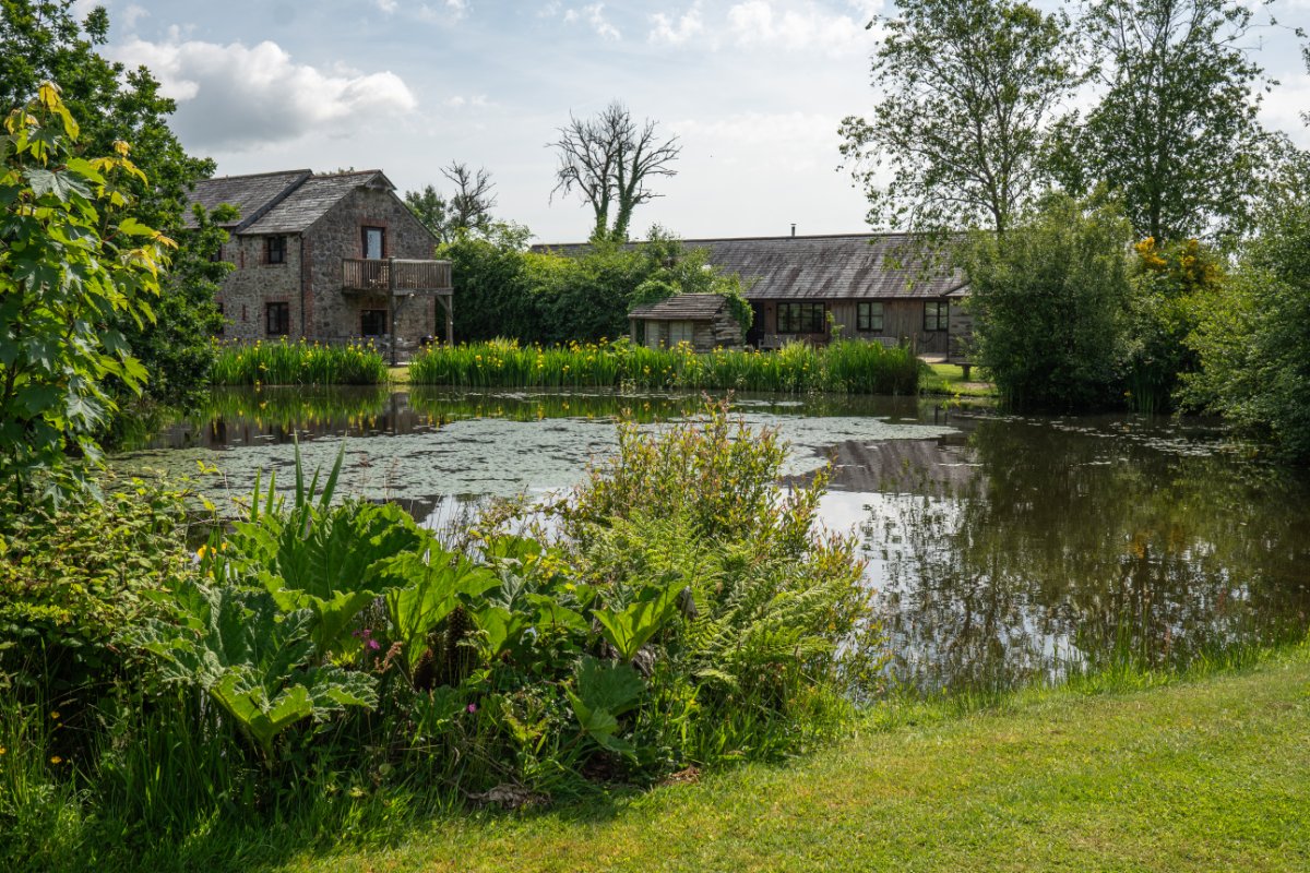 25 bedroom House, Callington, Cornwall, PL17 - Available