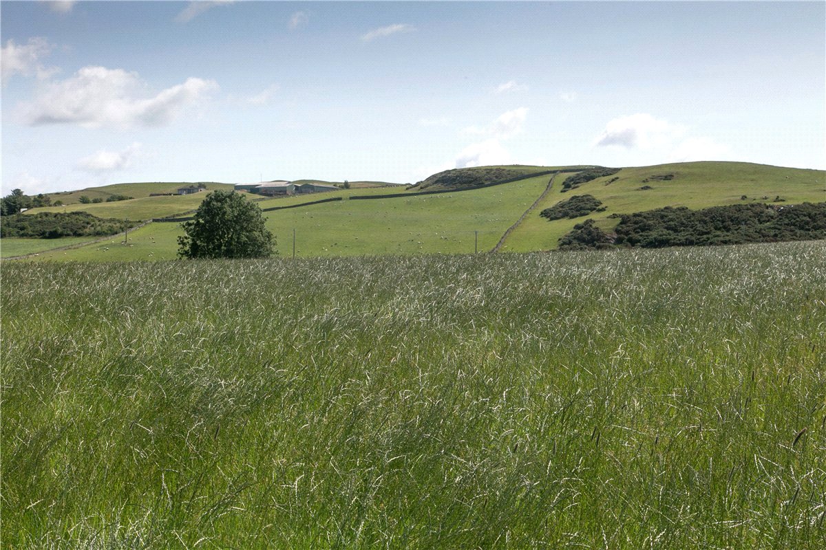 73  Land, Llanfairtalhaiarn, Abergele, LL22 - Available, Image 4