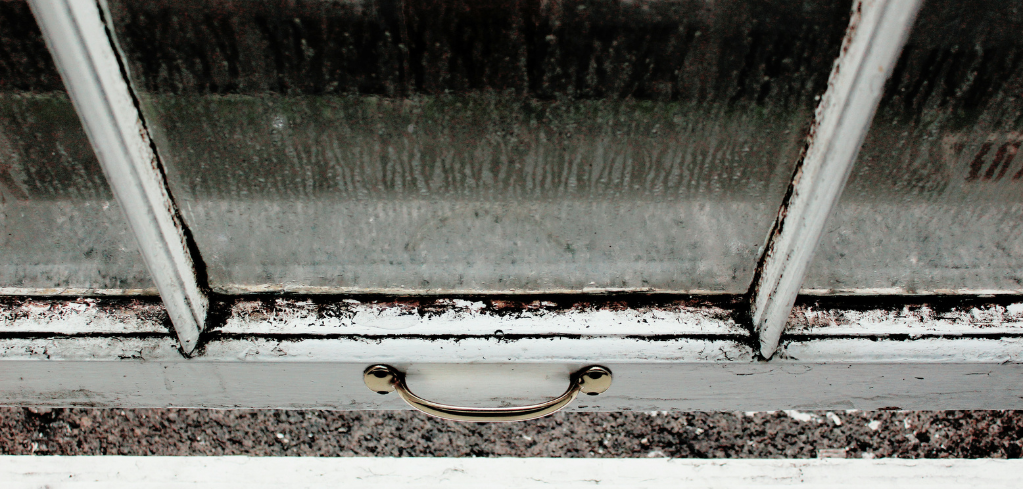 Close-up of a weathered, dirty white window frame with a small brass handle, showing peeling paint and black mould build-up.
