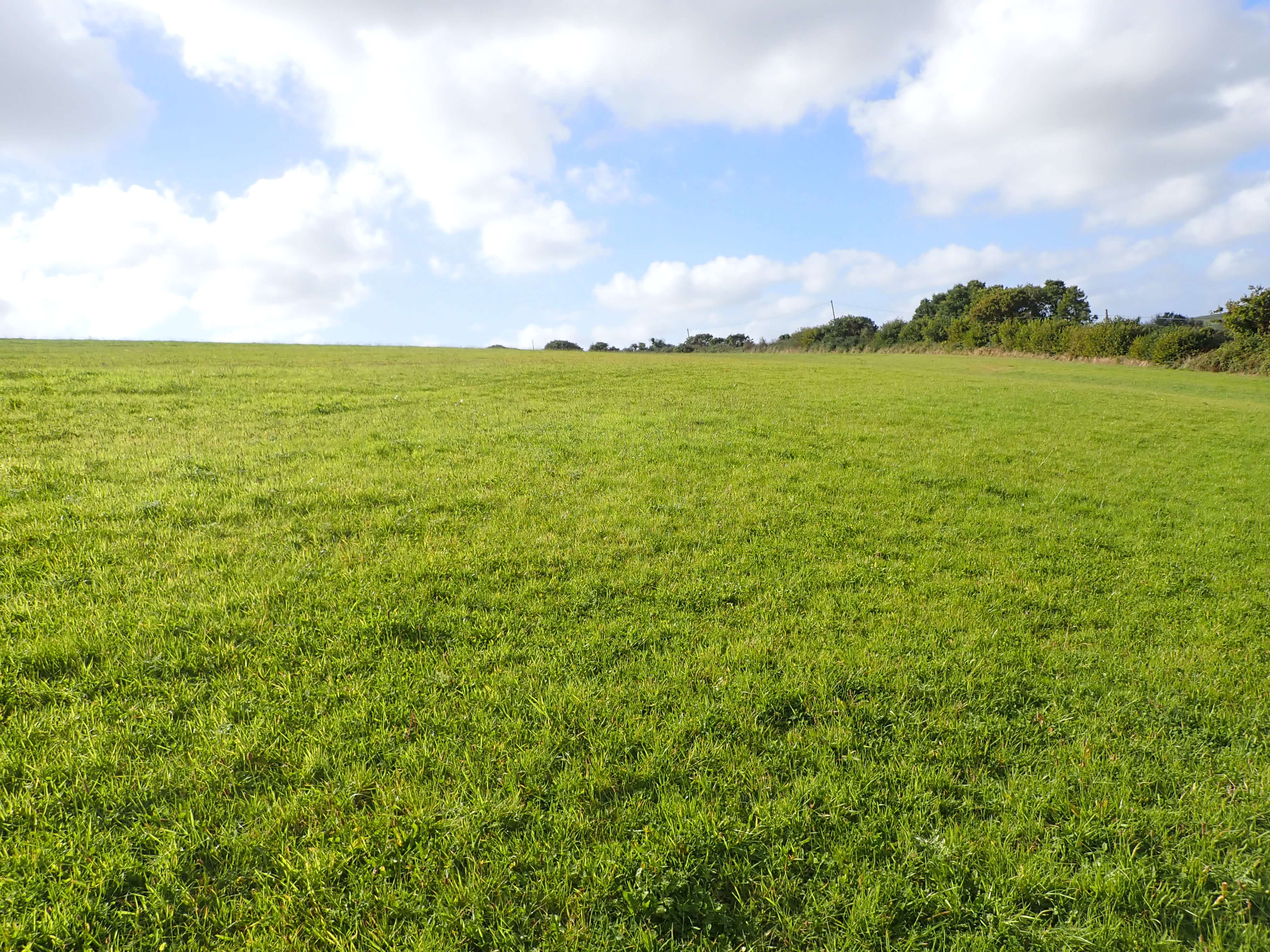 A wide open green grassy field under a partly cloudy blue sky, with trees and shrubs along the right horizon.