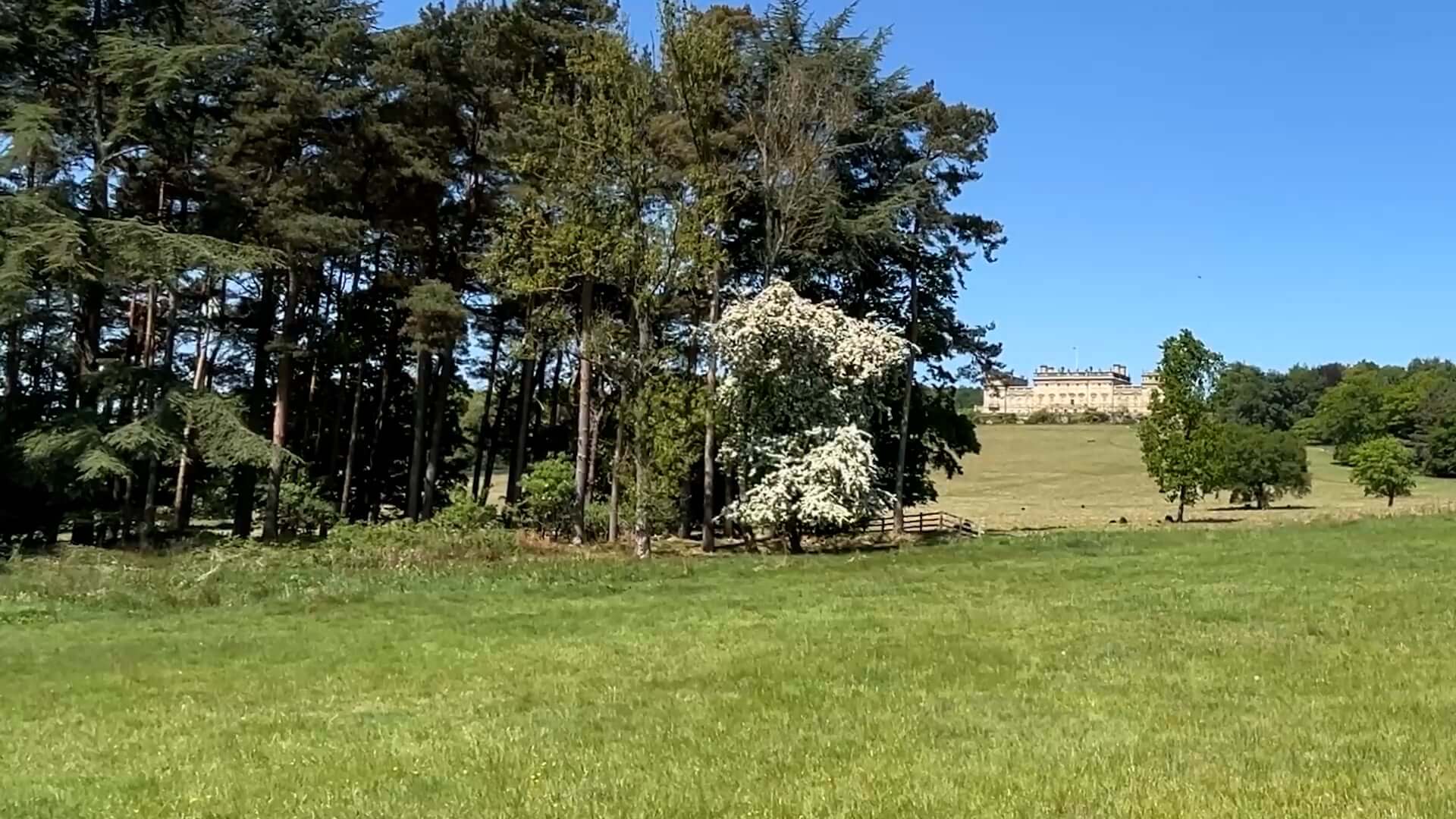 Historic mansion visible on hillside across green meadows and woodland, under clear blue sky.