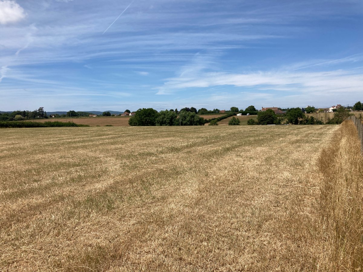 2.84  Land, Lot 1: Land At Goathurst, Goathurst, TA5 - Sold, Image 2