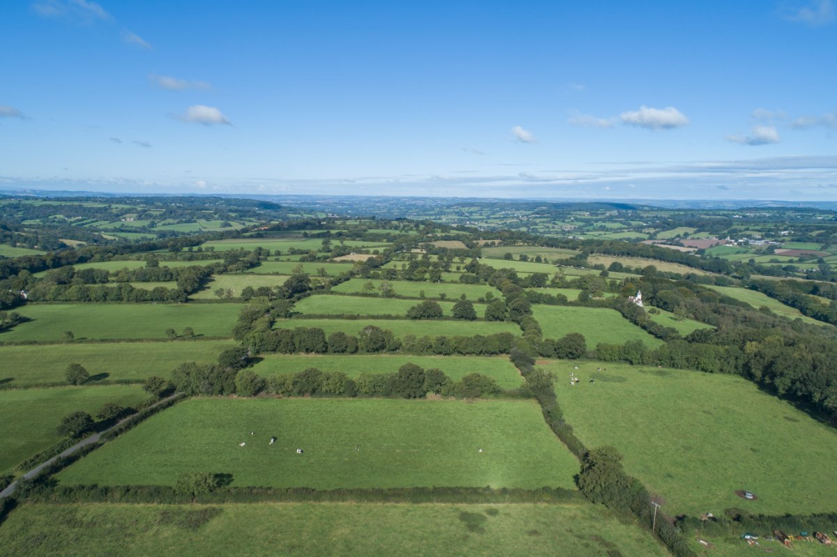 9.59  Land, Taunton, , TA3 - Sold