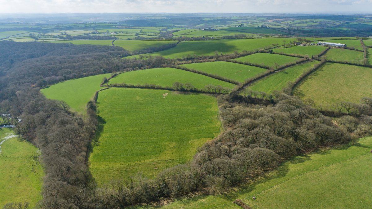 57.55  Development Land, Milton Damerel, Holsworthy, EX22 - Available, Image 13