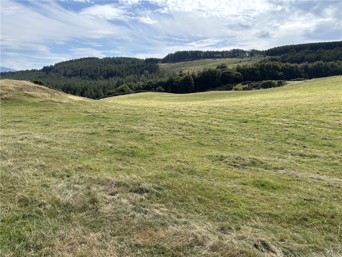   Farm, Lot 3 - Prospect Farm, Cockermouth, CA13 - Available, Image 5