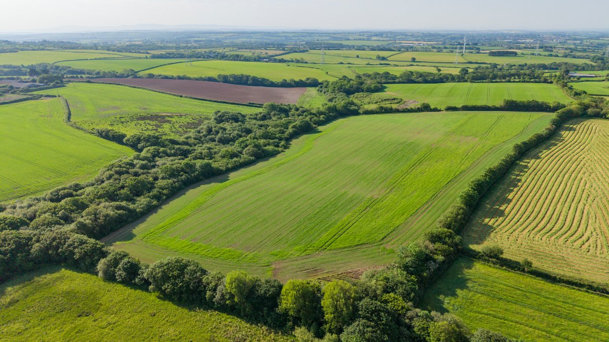219.96  Farm, Holsworthy Beacon, Holsworthy, EX22 - Available, Image 13
