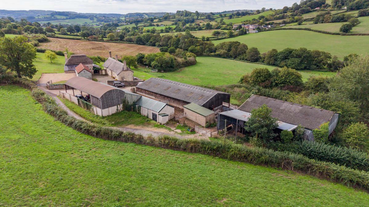 127.45  Farm, Northleigh, Colyton, EX24 - Available, Image 27