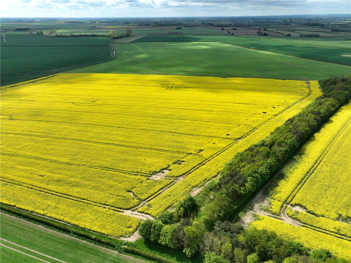   Land, Lot 2 - Land At Beeford and Foston, Driffield, YO25 - Sold STC, Image 1