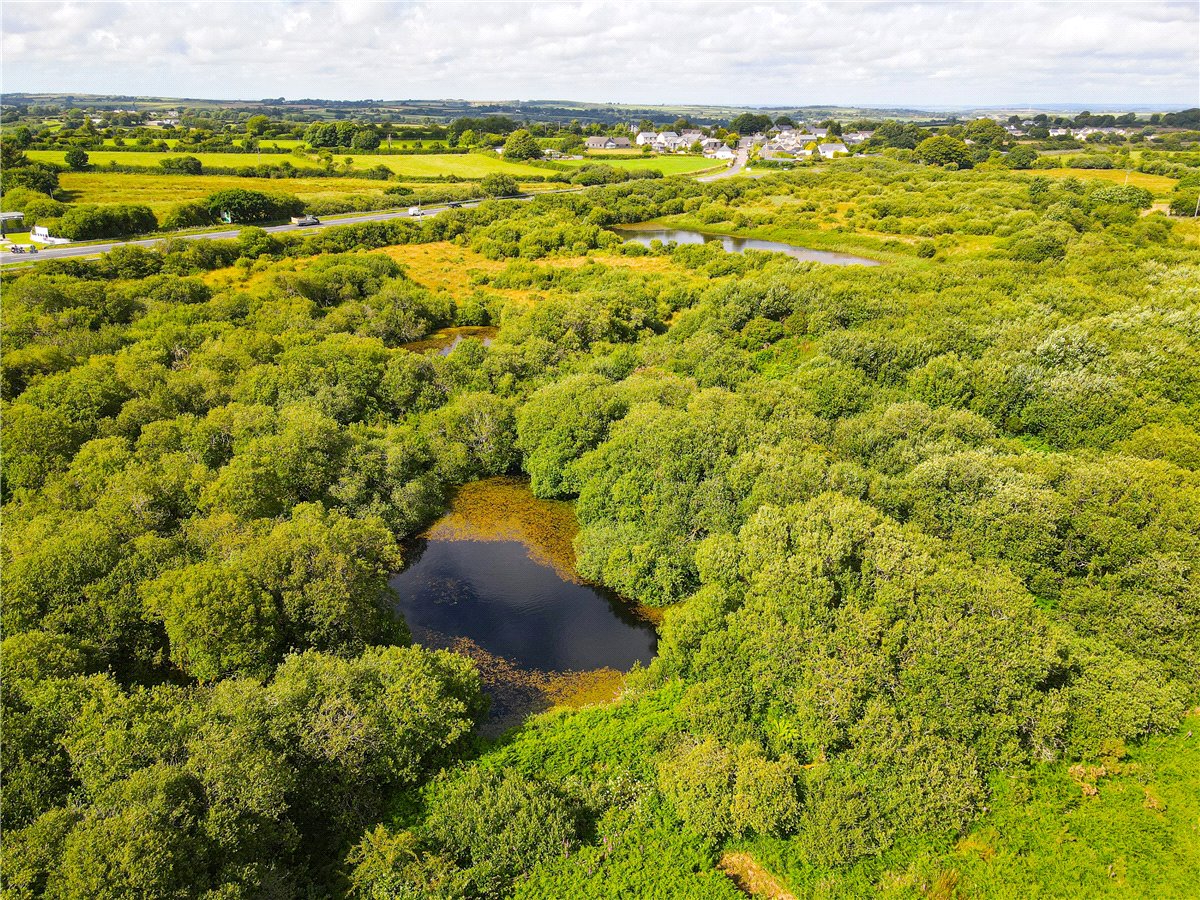 16.98  Land, Trewint, Altarnun, PL15 - Sold, Image 4