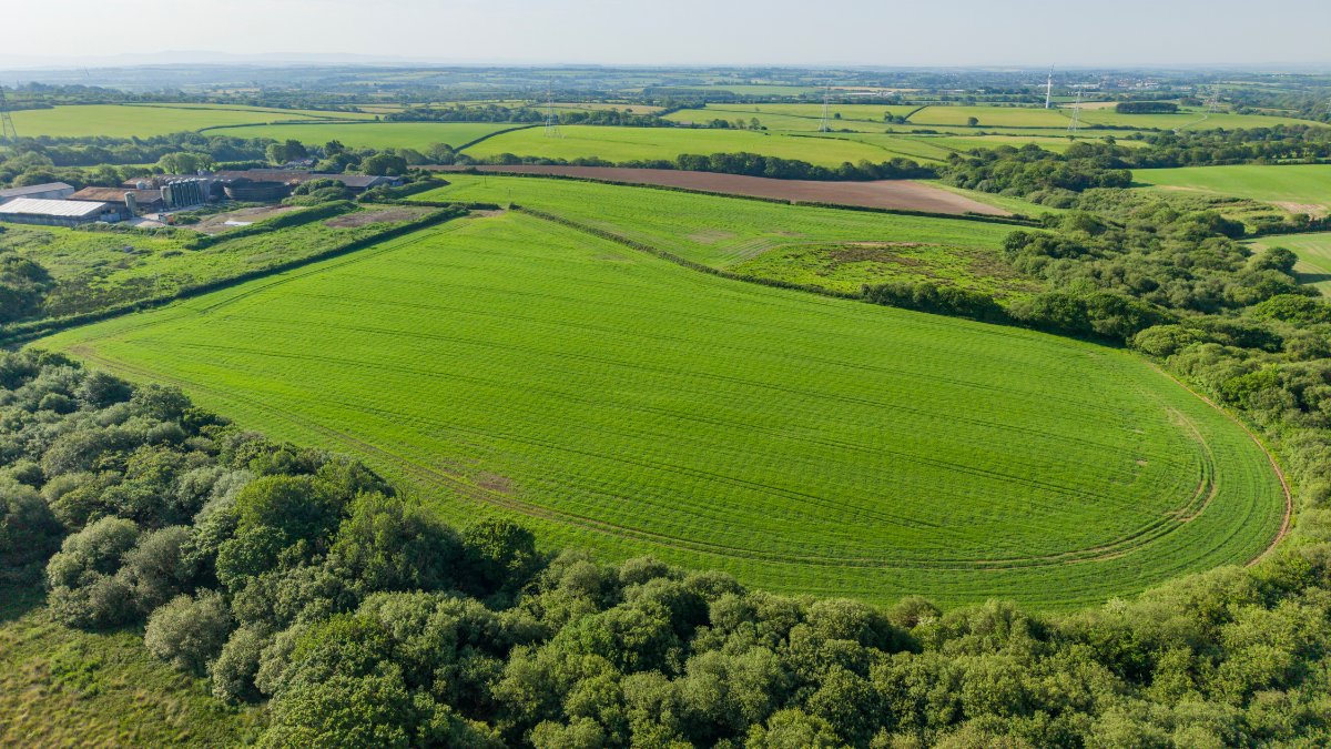 219.96  Farm, Holsworthy Beacon, Holsworthy, EX22 - Available, Image 12
