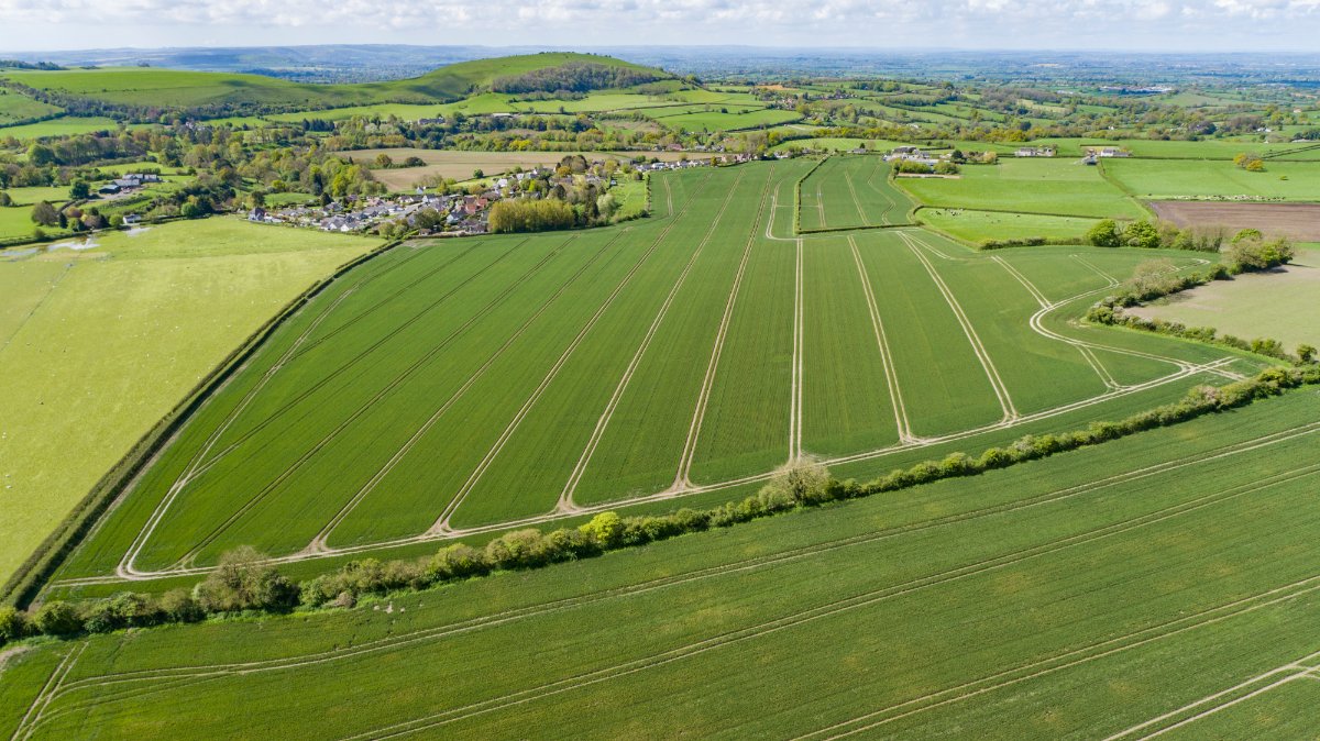 289.47  Farm, Cann, Shaftesbury, SP7 - Sold, Image 23