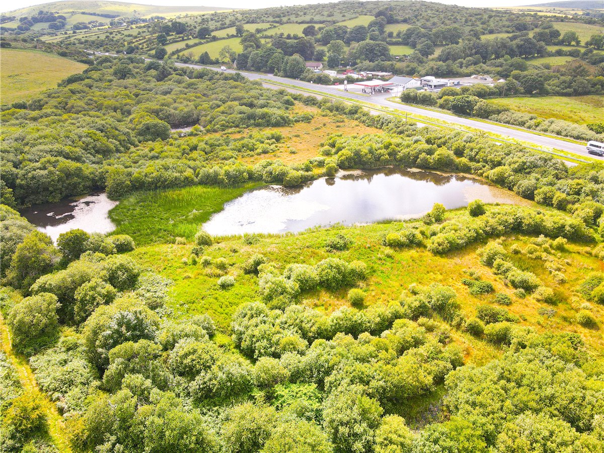 16.98  Land, Trewint, Altarnun, PL15 - Sold, Image 5