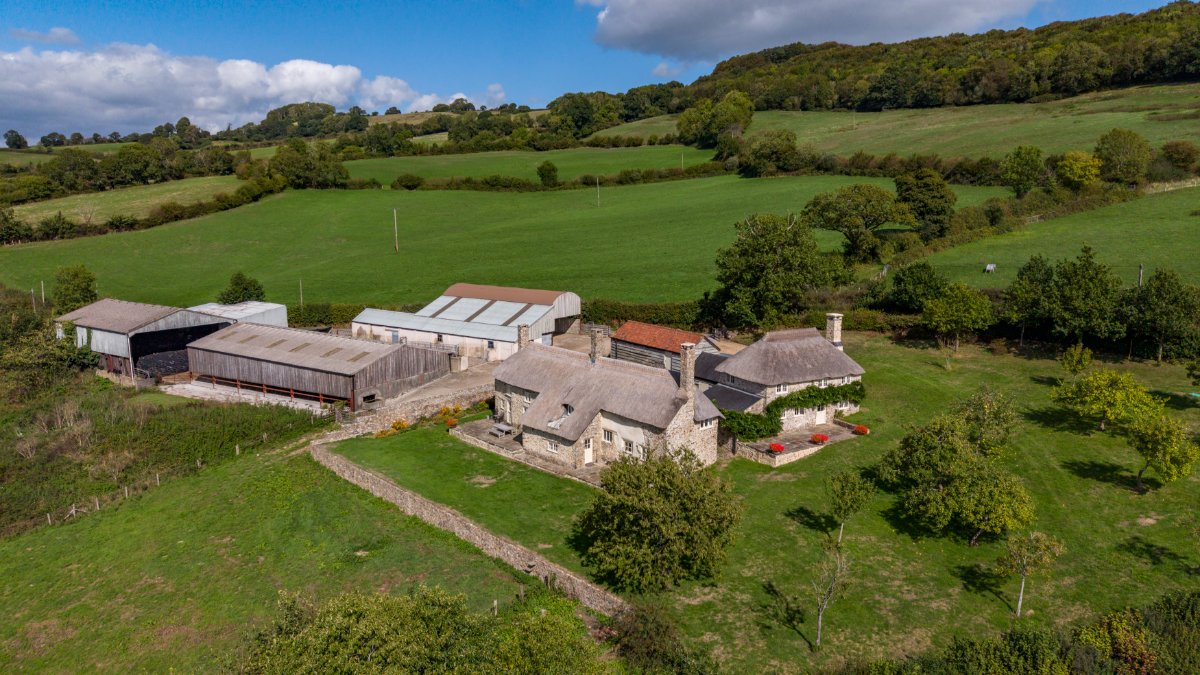 68.36  Farm, Lot 1 Stockers Farm, Northleigh, EX24 - Available, Image 7