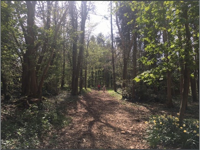 317 to 437 Sq Ft, The Rocks, Colerne, SN14 - Available, Image 3