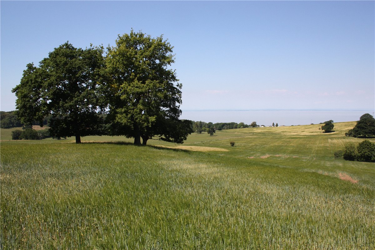 23.18  Land, West Quantoxhead, Taunton, TA4 - Sold