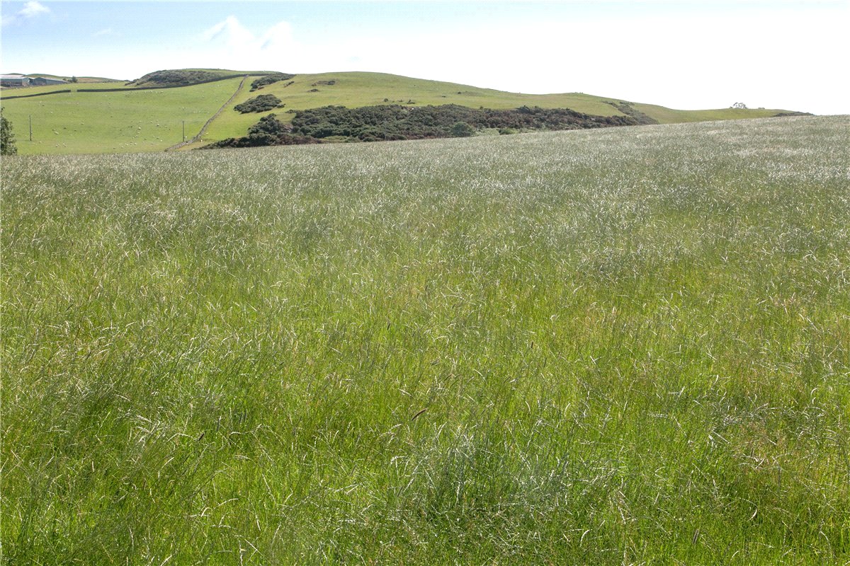 73  Land, Llanfairtalhaiarn, Abergele, LL22 - Available, Image 5