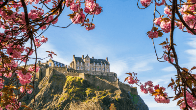 Edinburgh Castle framed by cherry blossoms on a beautiful blue sky Spring day.