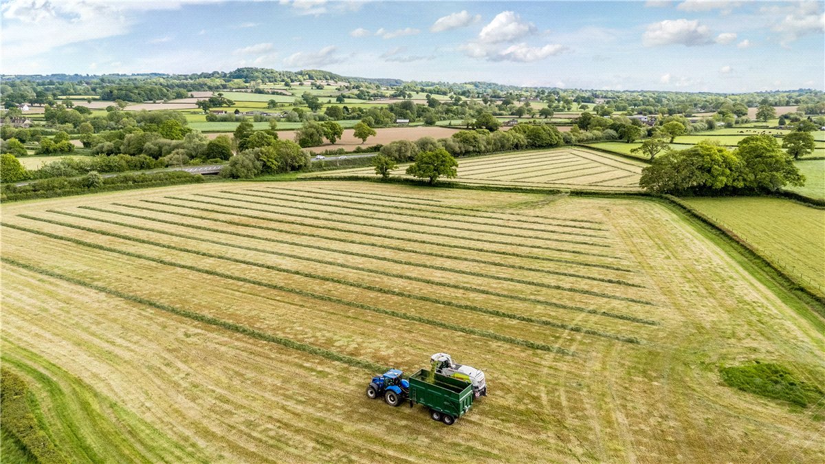 19.8  Land, Donyatt, Ilminster, TA19 - Available, Image 1