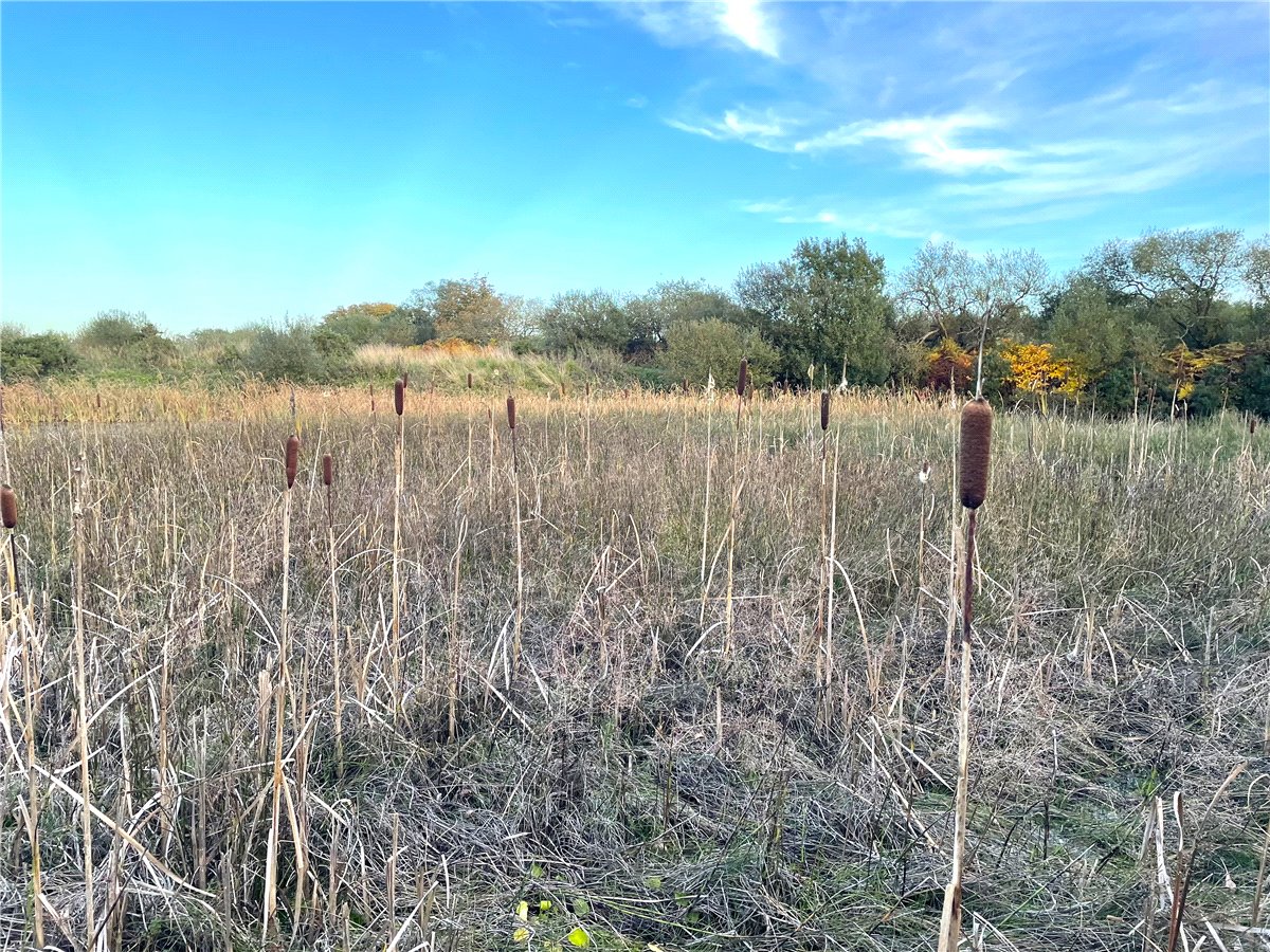 16.98  Land, Trewint, Altarnun, PL15 - Sold, Image 10