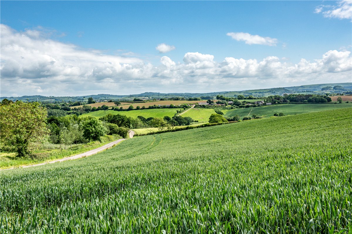 518  Farm, Dottery, Bridport, DT6 - Sold, Image 3