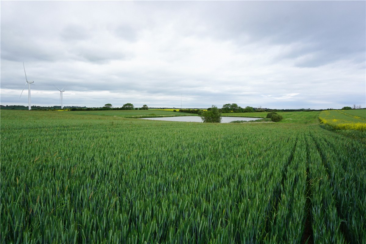   Land, Rimswell, Withernsea, HU19 - Sold