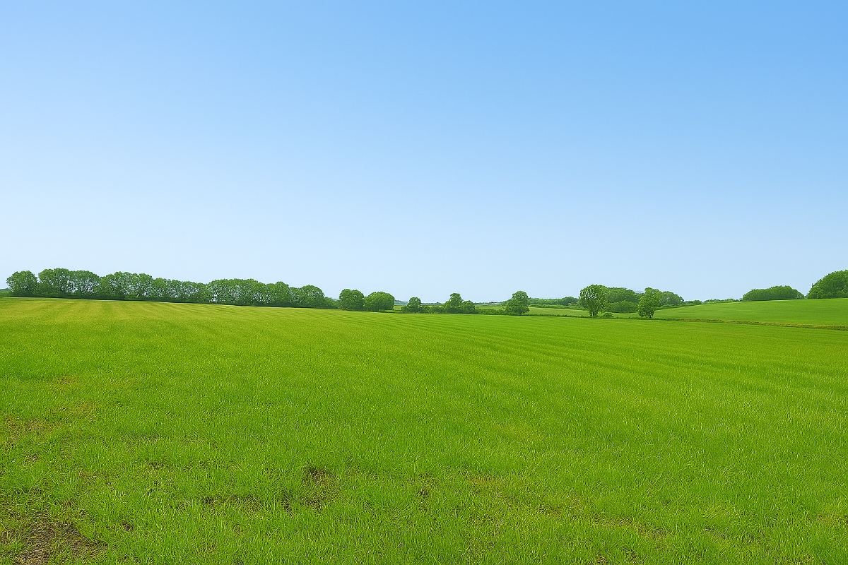 41.37  Land, Land At Ashridge, North Tawton, EX20 - Available, Image 2
