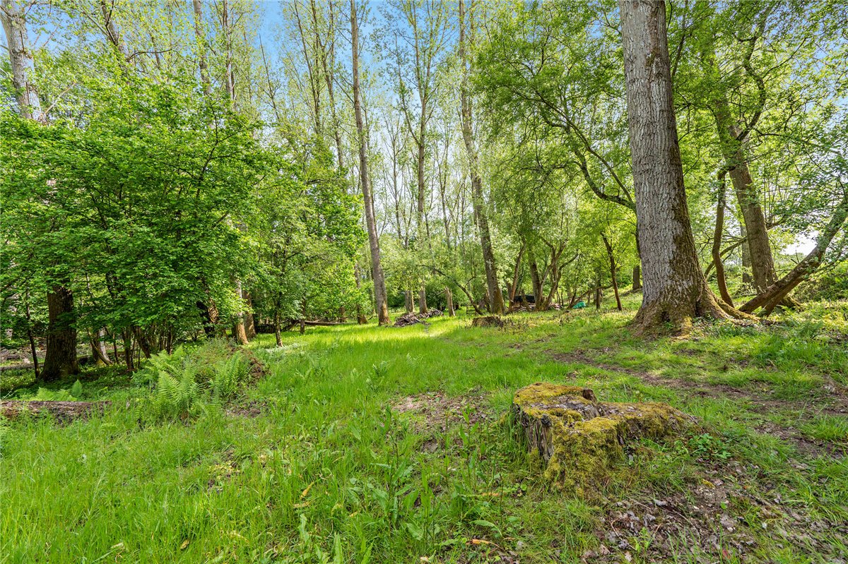 5 bedroom House, Crookham Common, Thatcham, RG19 - Available, Image 24