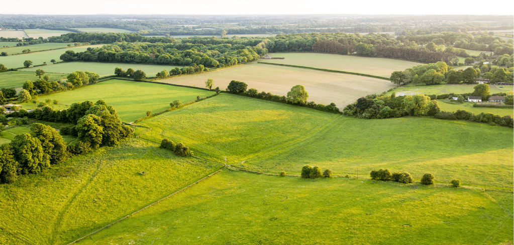 Aerial view of lush green countryside with patchwork fields, hedgerows, and scattered trees in golden sunlight.