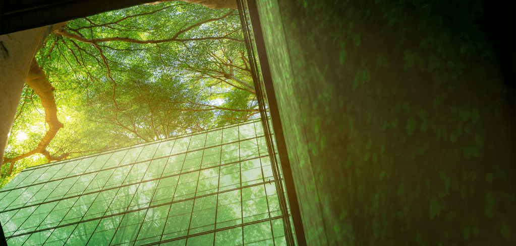 View looking up at a modern glass building reflecting lush green trees with sunlight filtering through the foliage.