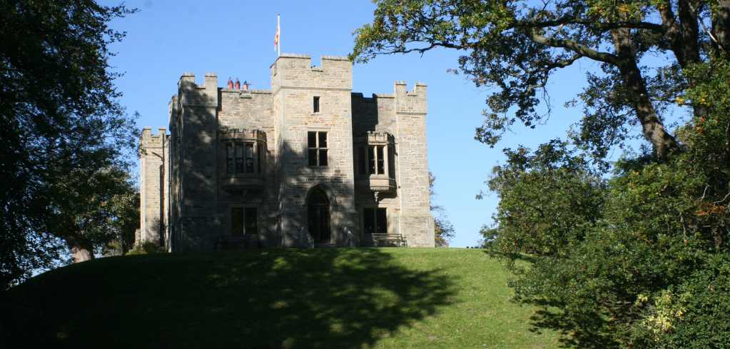 Stone castle with towers and flag atop a grassy hill, framed by green trees against a blue sky.
