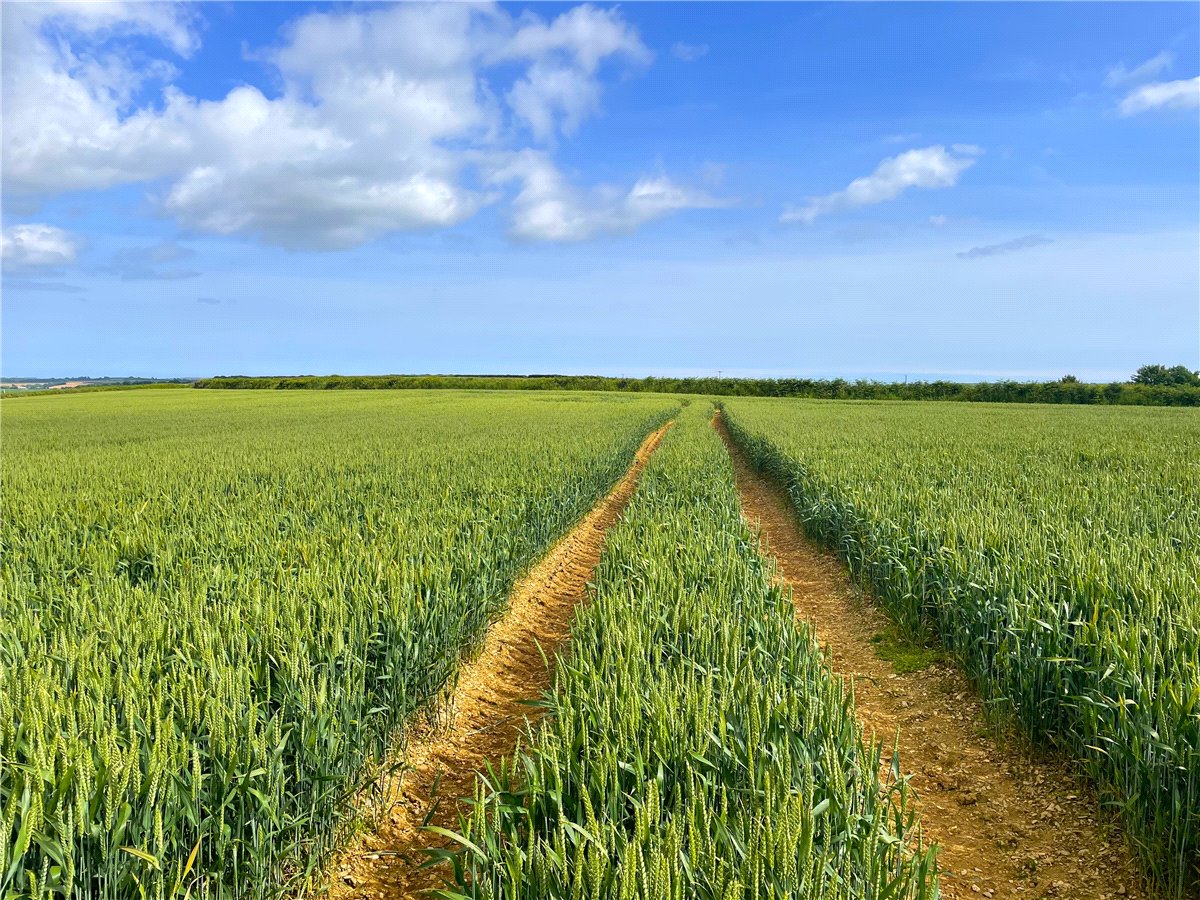 19.79  Development Land, East Taphouse, Liskeard, PL14 - Sold, Image 5