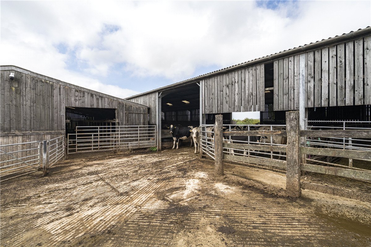 147.56  Land, Trerice, Newquay, TR8 - Available, Image 12