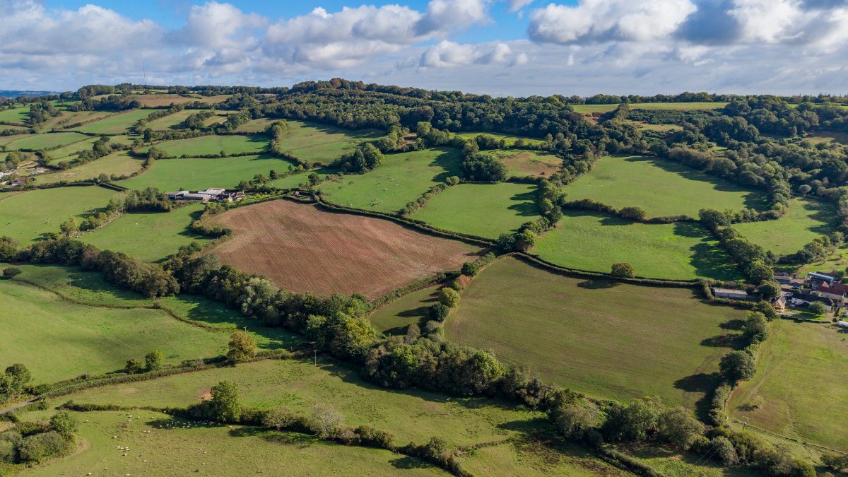 127.45  Farm, Northleigh, Colyton, EX24 - Available, Image 1