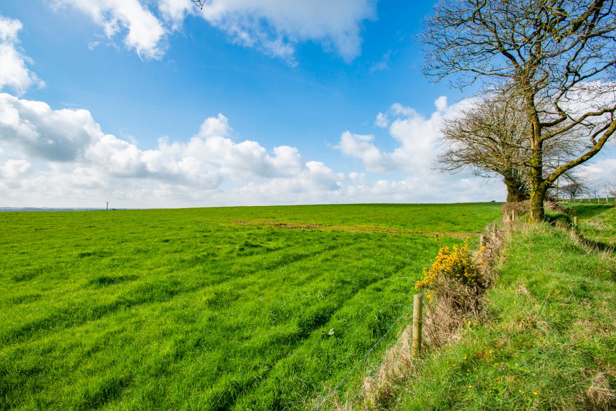 57.55  Development Land, Milton Damerel, Holsworthy, EX22 - Available, Image 15