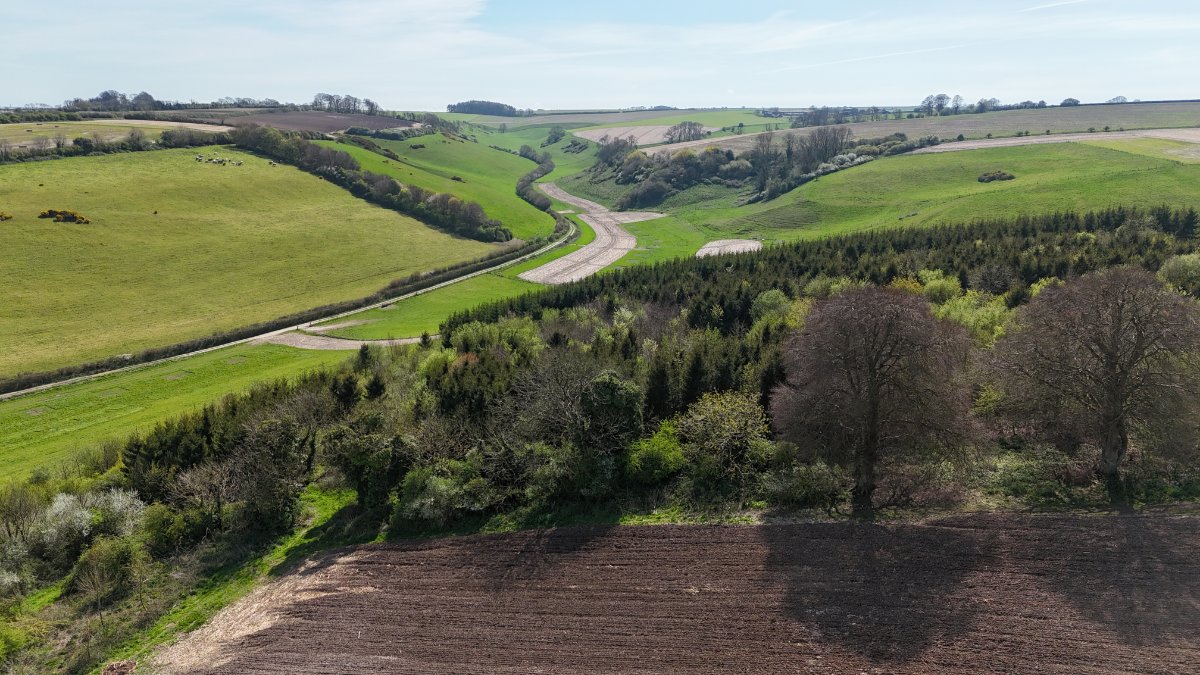 43.37  Farm, Lot 1: Cruxton Manor Farm, Cruxton, DT2 - Available, Image 10